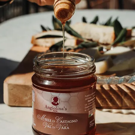 Gospodarstwo agroturystyczne Angiolina's Farm