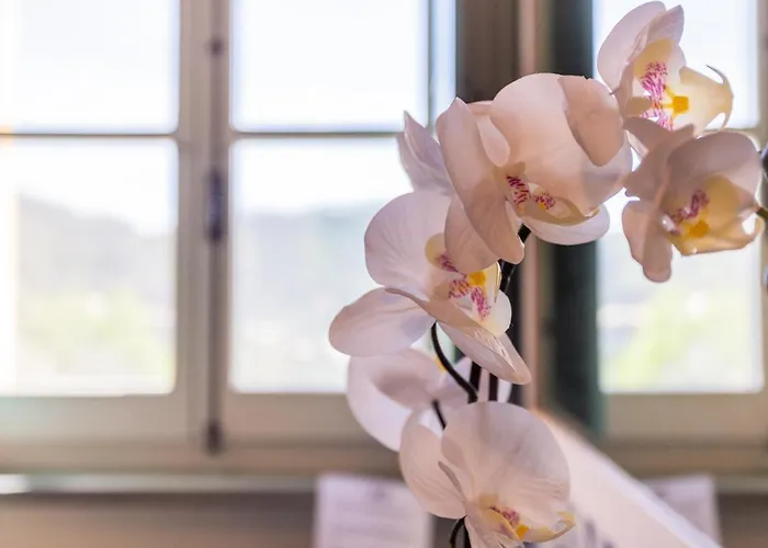 Alojamento de Turismo Rural Angiolina's Farm